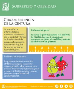 obesidad explicacion peras manzanas